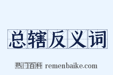 总辖反义词是什么意思的图片